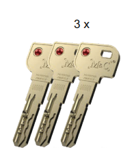 Cilindro modular M&C para cerradura TEDEE PRO