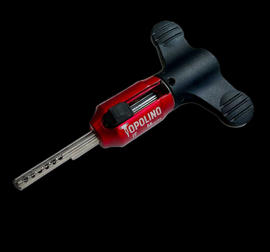 Topolino IFAM